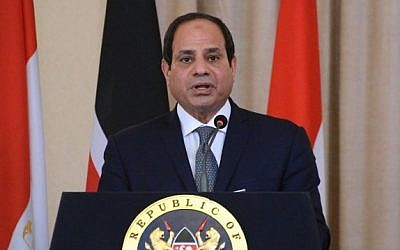 Egyptian President Abdel-Fattah el-Sissi speaks during a press conference on February 18, 2017 (AFP/Simon Maina)