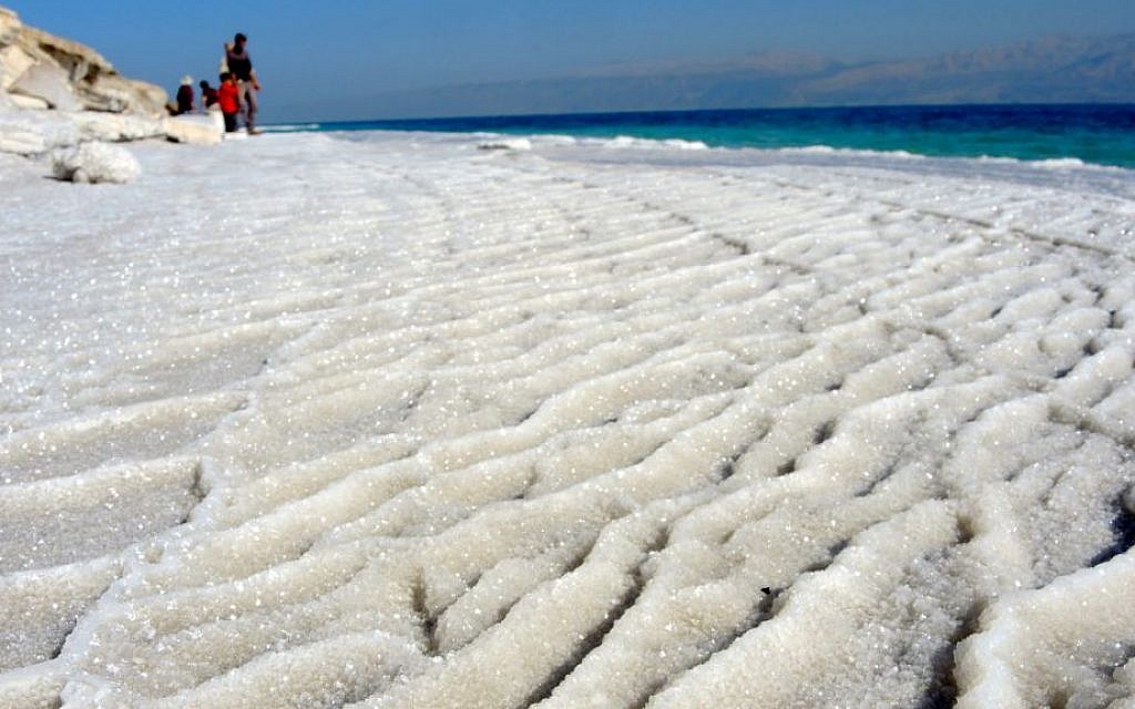 As the Dead Sea dries, its collapsing shores force a return to nature | The  Times of Israel