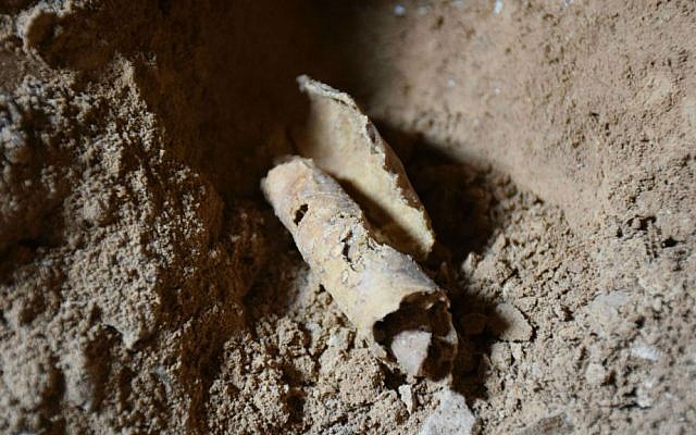 This remnant of a casing for a two-millennia-old scroll was found in "Cave 12" at Qumran and, archaeologists say, belongs to the Second Temple-period Dead Sea Scrolls, February 8, 2017. (Courtesy Hebrew University)