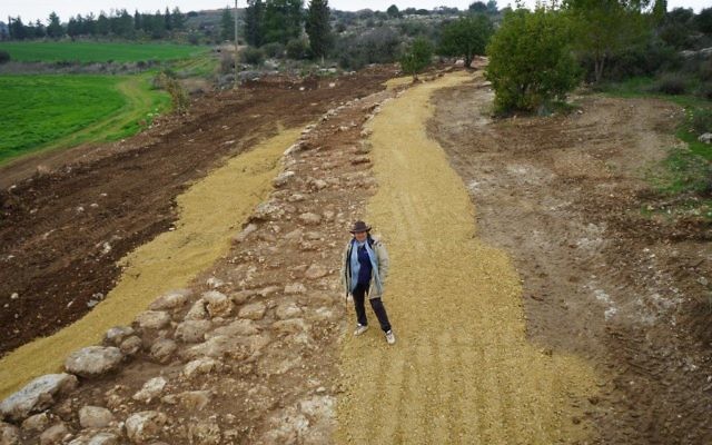 IAA archaeologist Irina Zilberbod, at a Roman road near Beit Shemesh excavated in February 2017. (The Griffin Aerial Photography Company, courtesy of the Israel Antiquities Authority)