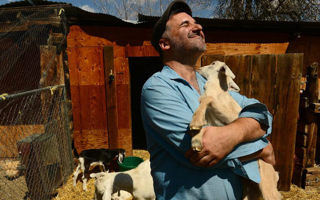 Rabbi Marc Soloway hugs a baby goat named Sheleg at the Jewish Community co-op farm near his synagogue in Boulder, Colorado on April 10, 2014. (Photo By Helen H. Richardson/ The Denver Post)