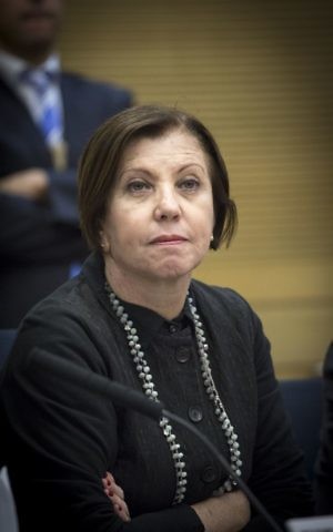 Chaif of the left-wing Meretz party MK Zehava Galon in the Knesset, December 28, 2016. (Miriam Alster/FLASH90) 