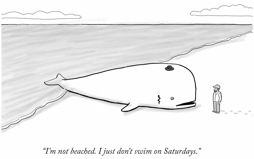 (Paul Noth/The New Yorker Collection/The Cartoon Bank, via JTA)