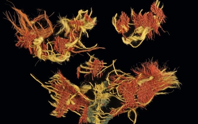 Microscopic magnification (x60) of woolen textile from Timna dyed in red and blue stripes (photo taken with Dino-Lite microscope, Dr. Naama Sukenik, Israel Antiquities Authority)