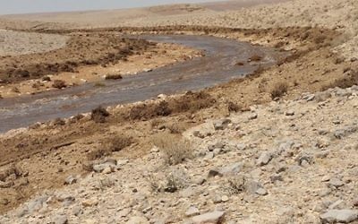 The muddy Ashalim stream flowing on June 30, 2017, after acidic water leaked from a fertilizer plant nearby. (Environment Protection Ministry)