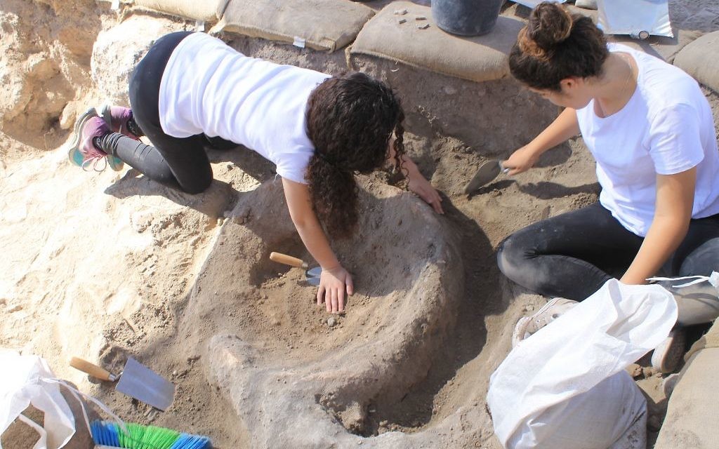 Some 2,500 schoolchildren and volunteers of all ages from Modi'in, Israel, have so far participated in the excavation of Tittora. (Vered Bosidan, Israel Antiquities Authority)