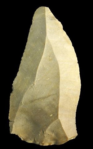 A spear point made from flint found at Ein Qashsish in northern Israel. (Erella Hovers, courtesy of the Israel Antiquities Authority)