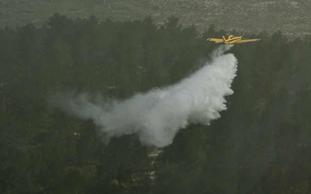 Illustrative: A firefighting plane dumps water on a forest in the Judean Hills during an exercise on March 29, 2012. (Omer Miron/Flash90)