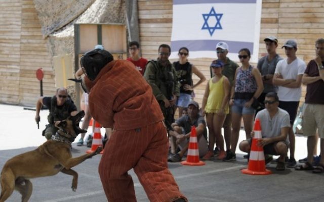 Foreign tourists watch an Israeli instructor demonstrating how to use a dog to neutralize an attacker during a simulation as they participate in a two hour anti-terror course at the Caliber 3 shooting range, near the West Bank settlement of Efrat on July 18, 2017. (AFP PHOTO / MENAHEM KAHANA)