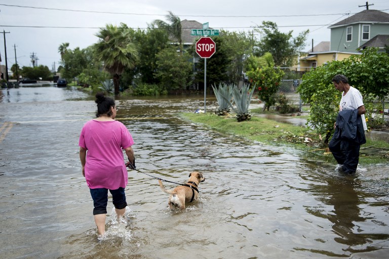 A woman walks a dog as the effects of Hurricane Harvey are seen August 26, 2017 in Galveston, Texas. (AFP PHOTO / Brendan Smialowski).