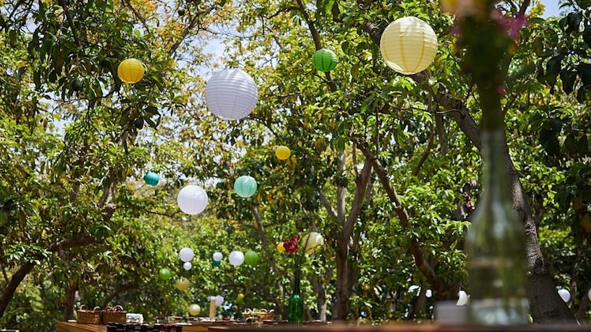 An avocado grove turned wedding venue waiting for guests in central Israel, May 19, 2017. (Courtesy of Bloom/JTA)