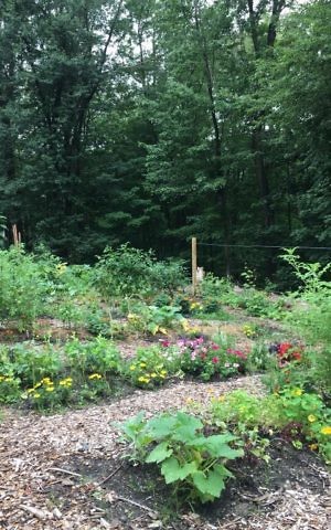 Members can rent beds on the Congregations Sons of Israel farm. (Courtesy)