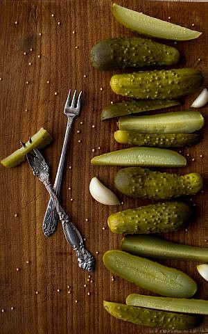Fermented dill pickles from 'The Joys of Jewish Preserving,' by Emily Paster. (Courtesy)