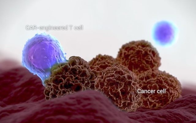 Kite Pharma develops cell therapies in which the patient's own immune cells fight cancer. (YouTube screenshot)