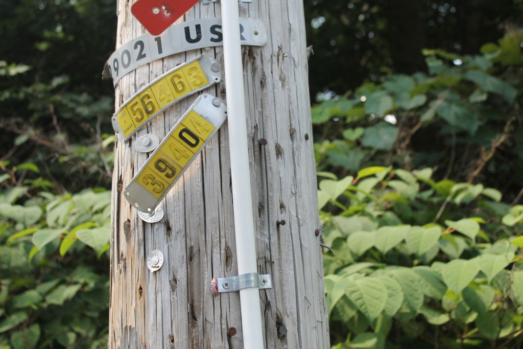 A PVC pipe affixed to a telephone pole in the town of Upper Saddle River, NJ. The pipe helps form an eruv for haredi residents of the area, but non-Jews in the town object to the way the pipes were installed. (Ben Sales/JTA) 