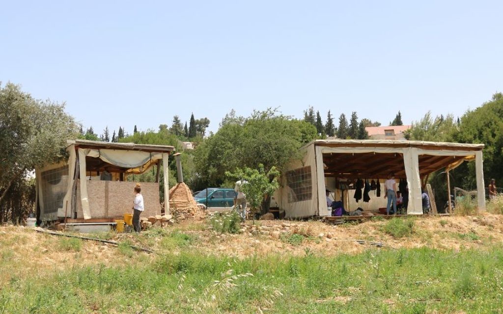 The Kaima farm is modeled on community supported agriculture, a system that connects local growers with consumers who buy their seasonal crops fresh from the farmer. (Shmuel Bar-Am)
