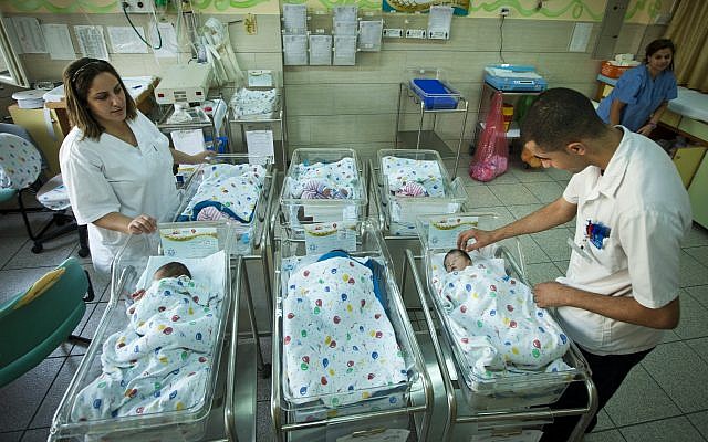 Newborn babies at the EMMS Hospital in Nazareth on October 31, 2012. (Moshe Shai/Flash90)