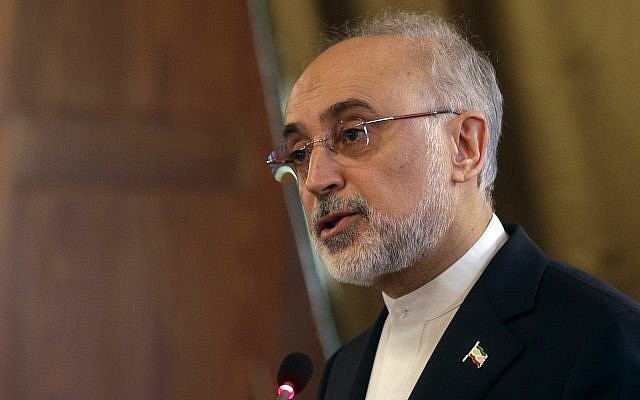 Head of Iran's Atomic Energy Organization Ali Akbar Salehi talks at a conference on international cooperation for enhancing nuclear safety, security, safeguards and non-profileration, at the Lincei Academy, in Rome, October 10, 2017. (AP/Gregorio Borgia)