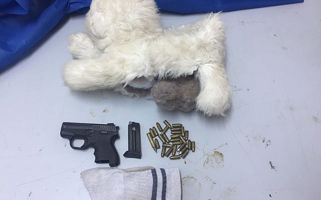 A pistol and ammunition hidden inside a toy dog found by security forces in the West Bank overnight October 31, 2017. (IDF spokesperson)