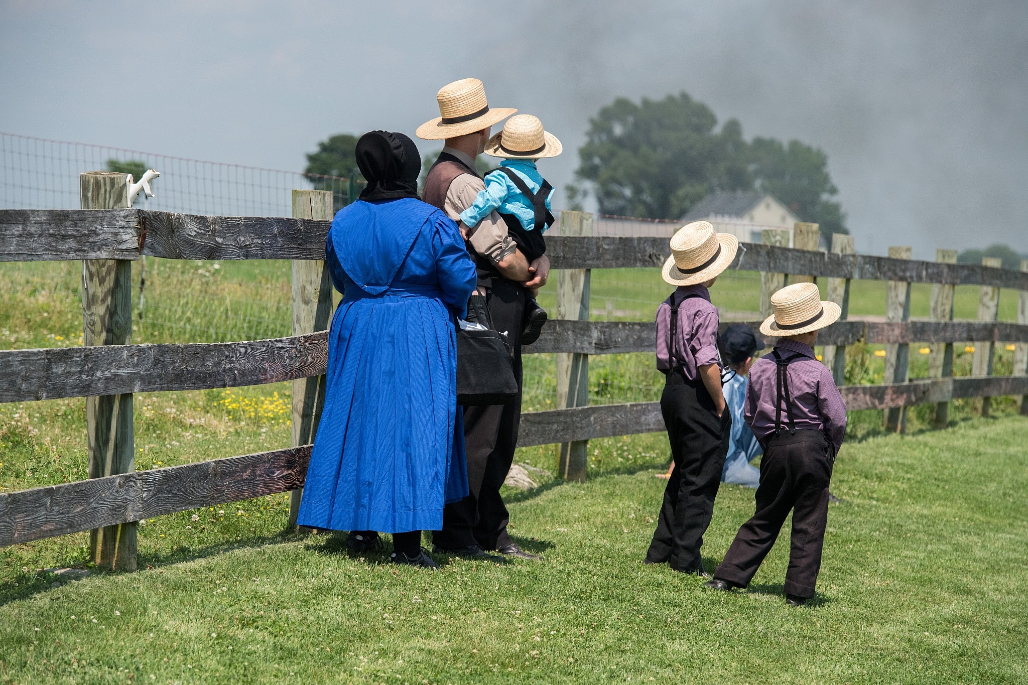 Rare Amish Genetic Mutation May Point Way To Anti aging Treatment The 