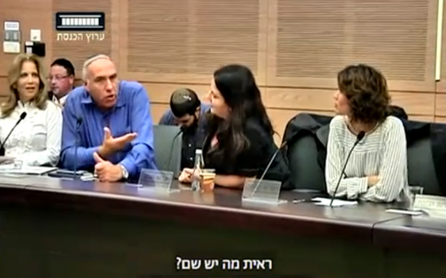 Lawmakers argue during a meeting of the Immigration, Absorption and Diaspora Affairs Committee on November 1, 2017. (Screen capture/Knesset Channel)