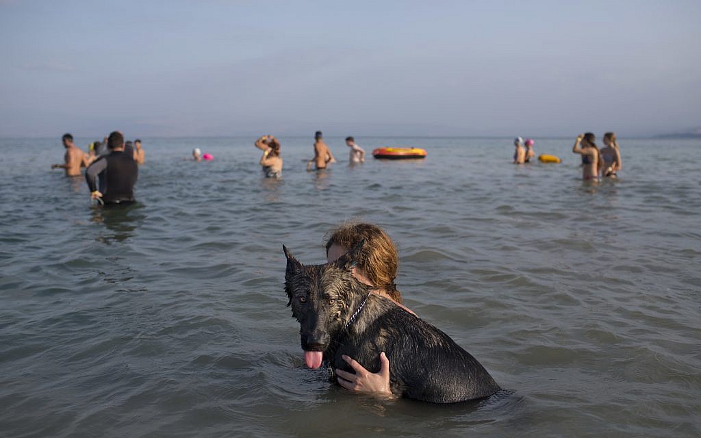 In this Saturday, September 16, 2017, file photo, swimmers participate in the annual Sea of Galilee swim, the oldest and most popular swimming event, near Tiberias, northern Israel. (AP Photo/Oded Balilty)