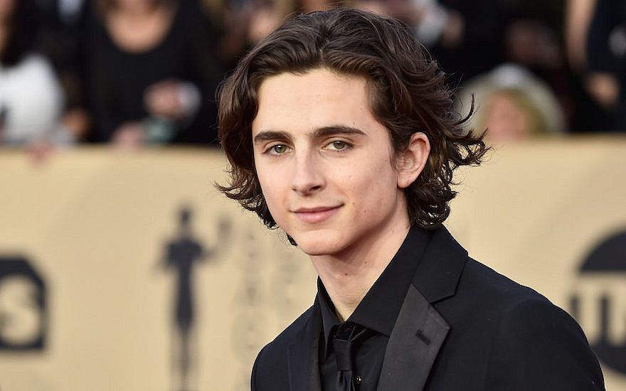 Timothée Chalamet: Nominations and awards - The Los Angeles Times