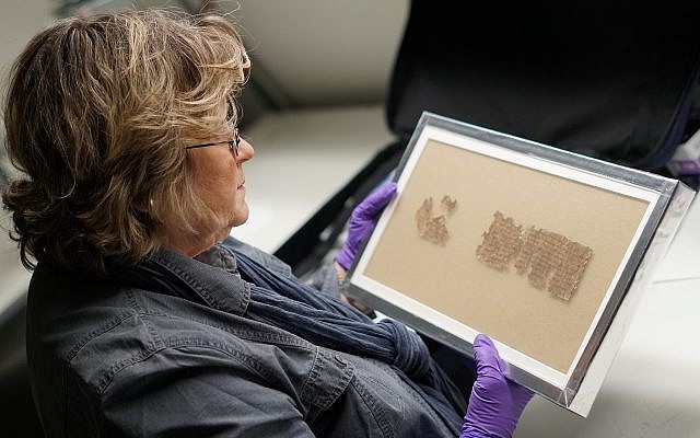 Israel Antiquities Authority conservator Tatiana Treiger holds a fragment of the Tohorot scroll, on public display for the first time at the Denver Museum of Nature and Science. (Yoli Shwartz, Israel Antiquities Authority)