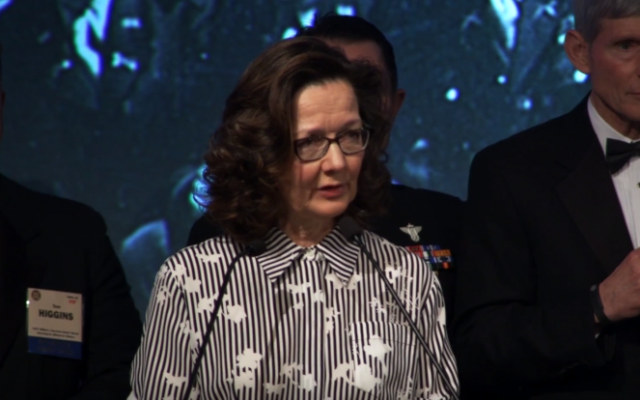 Incoming CIA director Gina Haspel delivers remarks at the 2017 William J. Donovan Award Dinner in Washington, DC, on October 24, 2017. (Screen capture: YouTube)