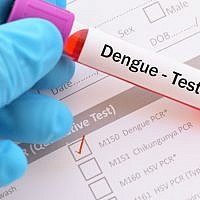 Illustrative: Image of testing tube for Dengue fever. (jarun011; iStock by Getty Images)