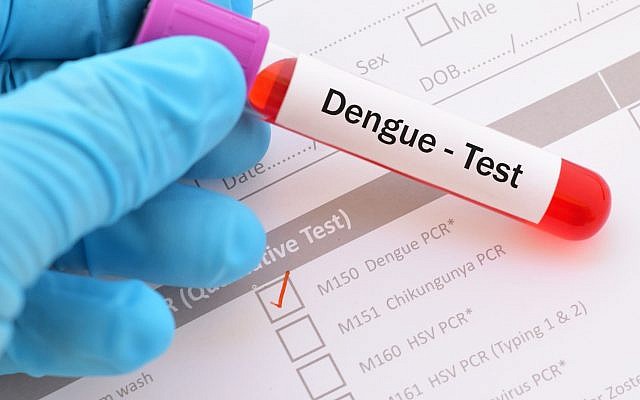 Illustrative: Image of testing tube for Dengue fever. (jarun011; iStock by Getty Images)