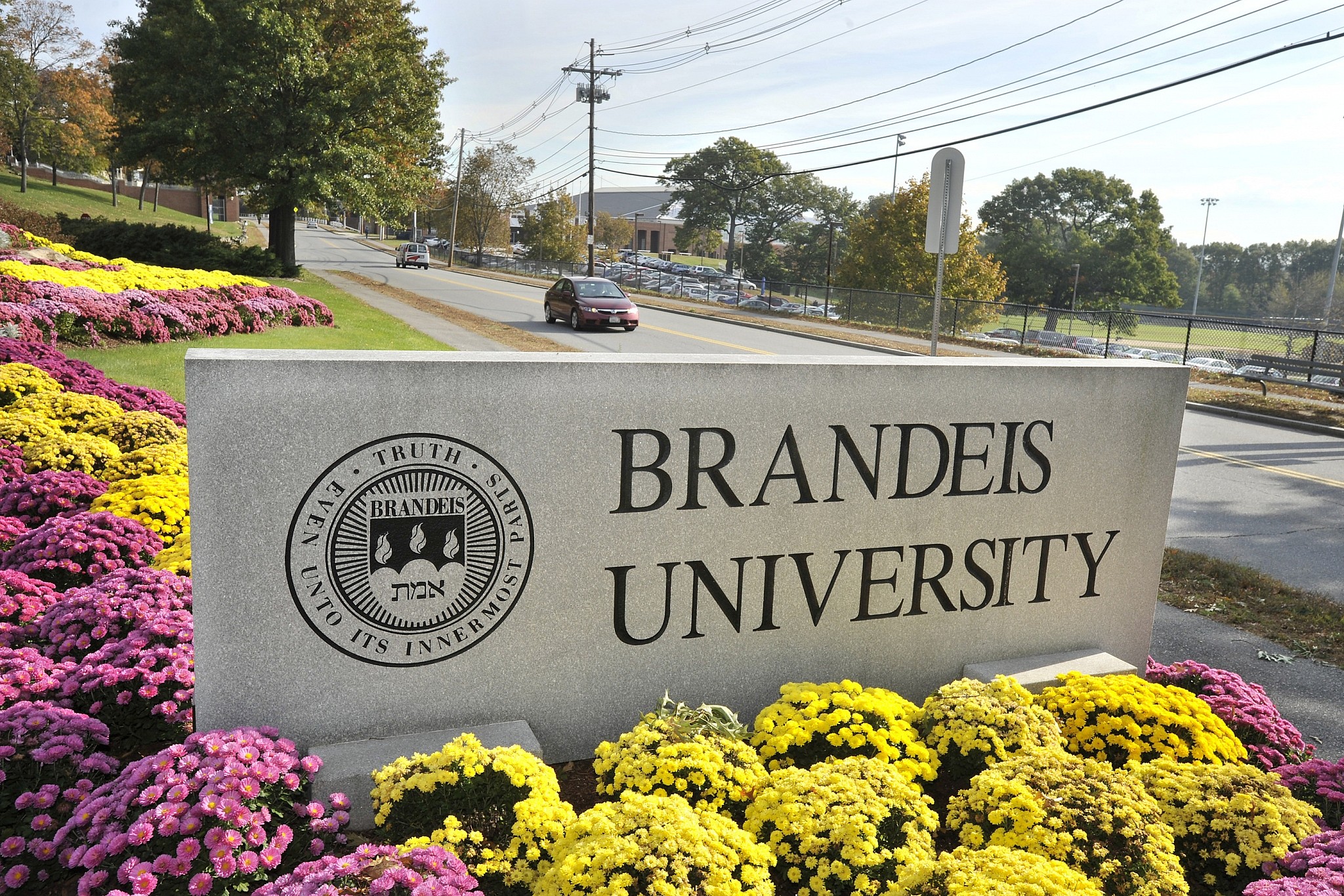 brandeis university essay prompts