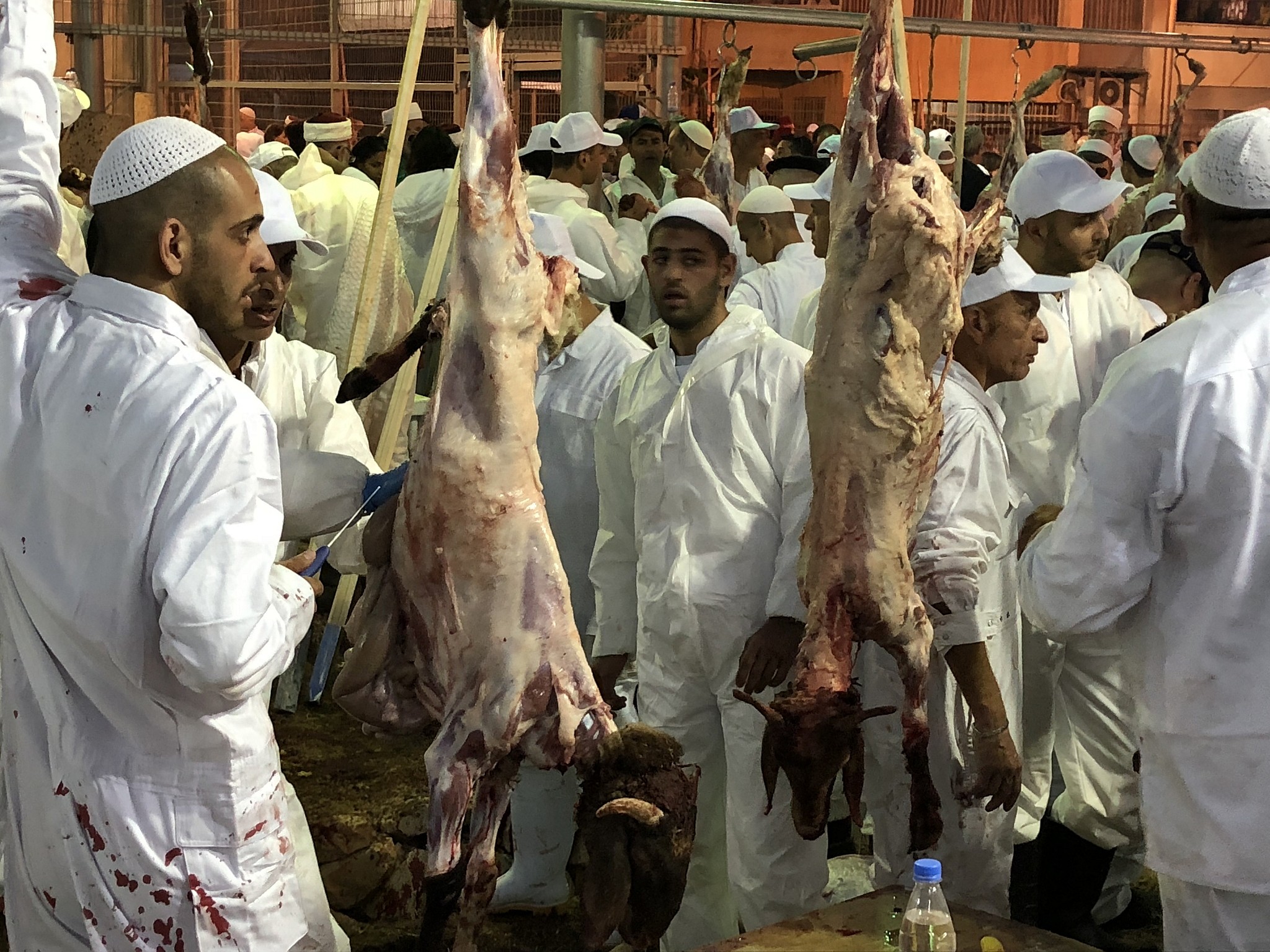 Samaritans take part in the traditional Passover sacrifice ceremony, where sheep and goats are slaughtered, at Mount Gerizim near the northern West Bank city of Nablus on April 29, 2018. (Jacob Magid/Times of Israel)