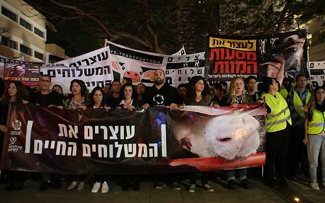 Protesters demonstrate in Tel Aviv against live shipments of animals for fattening and slaughter in Israel, April 28, 2018. (Adi Avikzer)