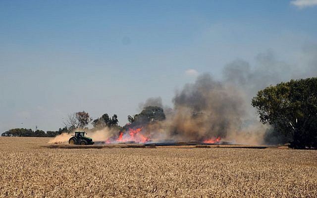 An Israeli farmer puts out a fire in his wheat field that was started by an incendiary kite from Gaza, outside Kibbutz Nahal Oz in southern Israel, on May 14, 2018. (Judah Ari Gross/Times of Israel)