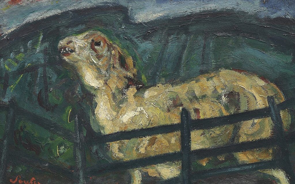 Chaim Soutine, ‘Sheep Behind a Fence.’ (Courtesy Jewish Museum)
