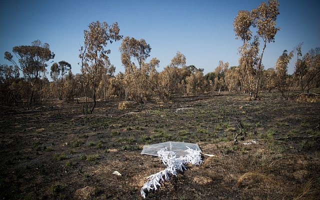 View of a kite flown by Palestinians into a forest near the border with the Gaza Strip on June 5, 2018. (Yonatan Sindel/Flash90)