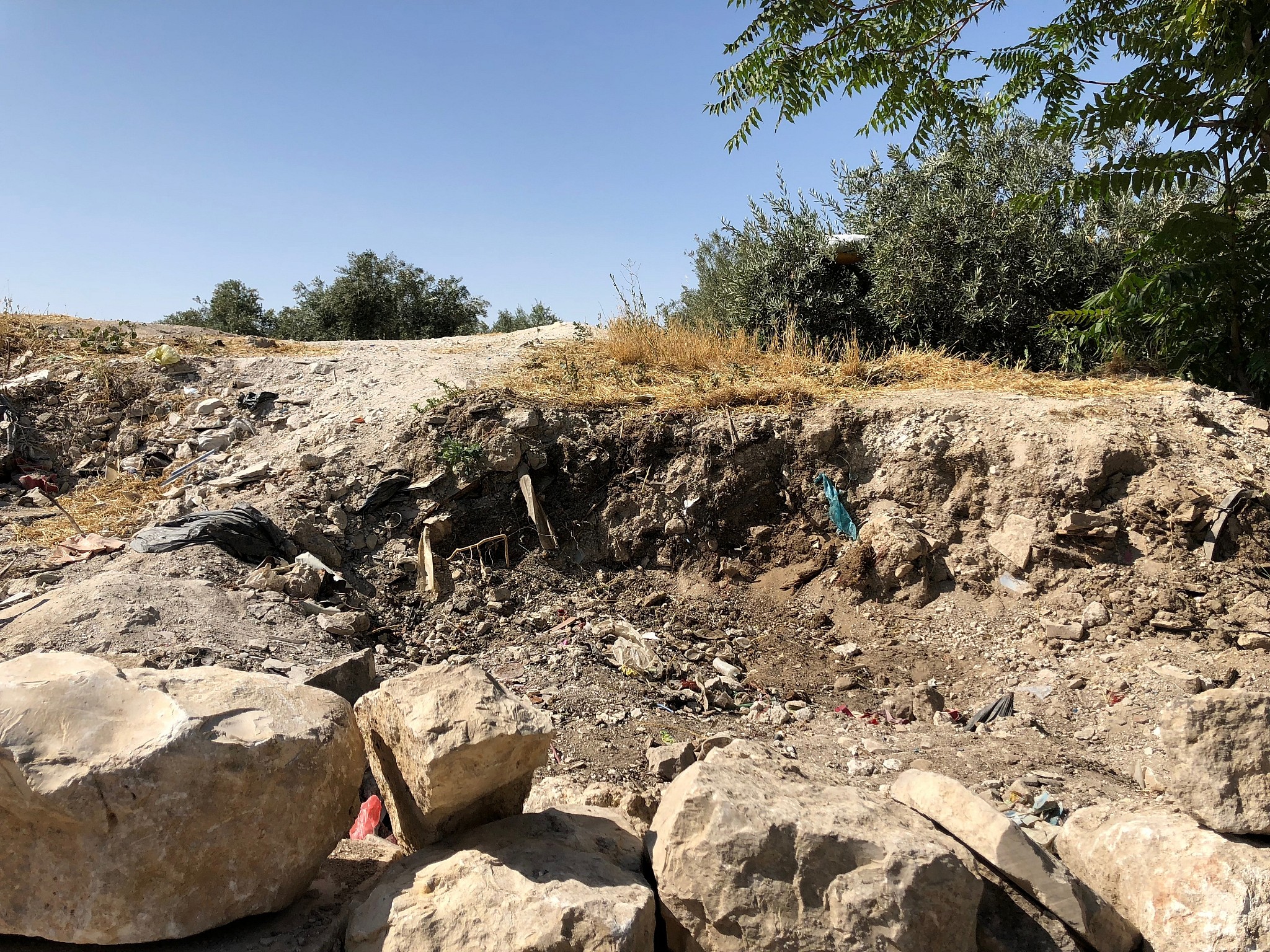 Muslim cleanup project 'illegally disturbed, removed' ancient soil on ...
