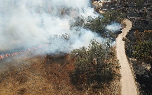 Israeli authorities respond to a fire in a field in the Eshkol region of southern Israel on June 5, 2018. (Eshkol regional council)