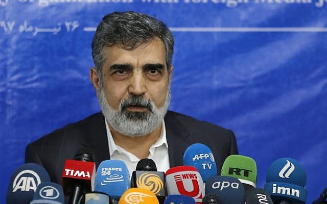Spokesman of the Atomic Energy Organization of Iran (AEOI), Behrouz Kamalvandi answers the press in the capital Tehran on July 17, 2018. (AFP PHOTO / ATTA KENARE)