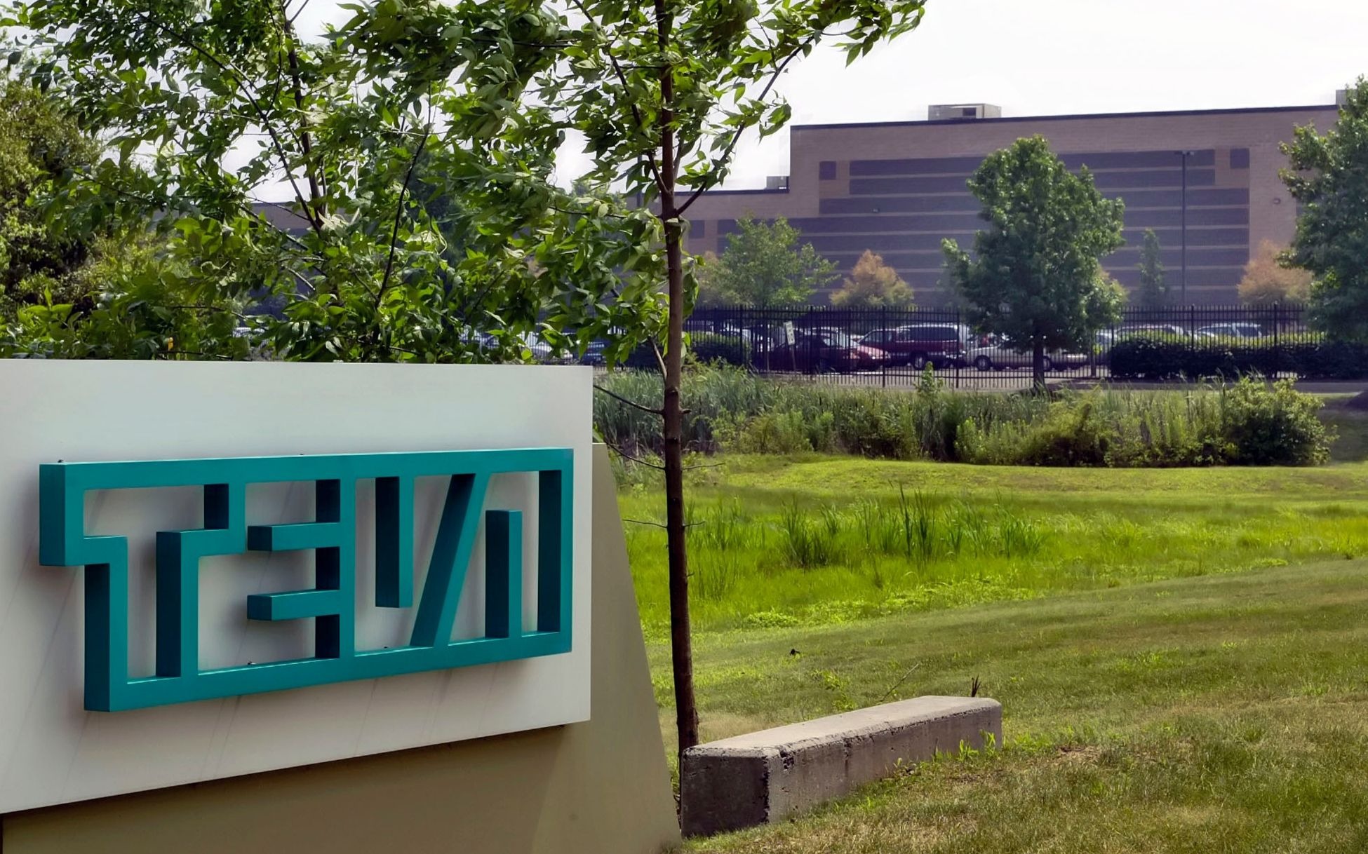 Teva stocks fall company said named in US price-fixing drug 'cartel' | The Times of Israel