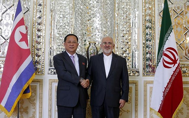 Iran's Foreign Minister Mohammad Javad Zarif (R) shakes hands with his North Korean counterpart Ri Yong Ho during their meeting in the capital Tehran on August 7, 2018. (AFP Photo/Atta Kenare)