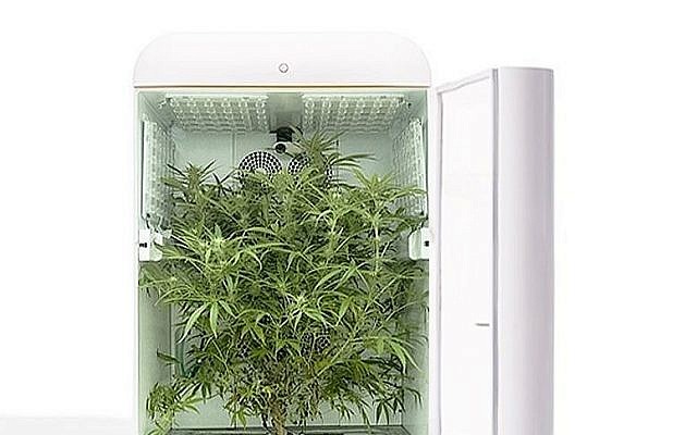 An illustration of Seedo’s technology for the automated growing of cannabis. (Seedo)