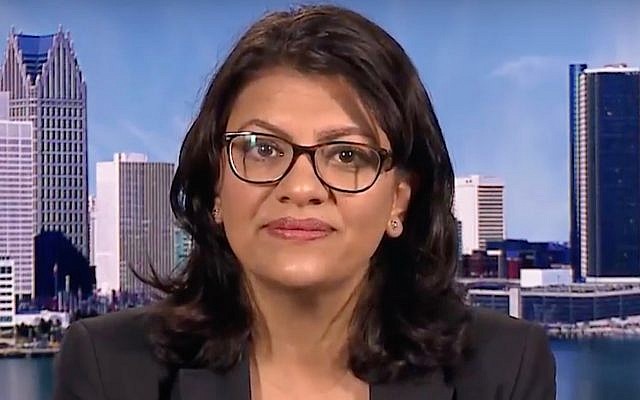 Rashida Tlaib, a Democrat from Michigan running for the US House of Representatives, is interviewed by Democracy Now! on August 16, 2018. (Screen capture: YouTube)