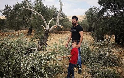 Local residents of the West Bank village of Ras Karkar examine olive trees damaged by suspected Israeli extremists, August 19, 2018. (Iyad Haddad/B'Tselem)