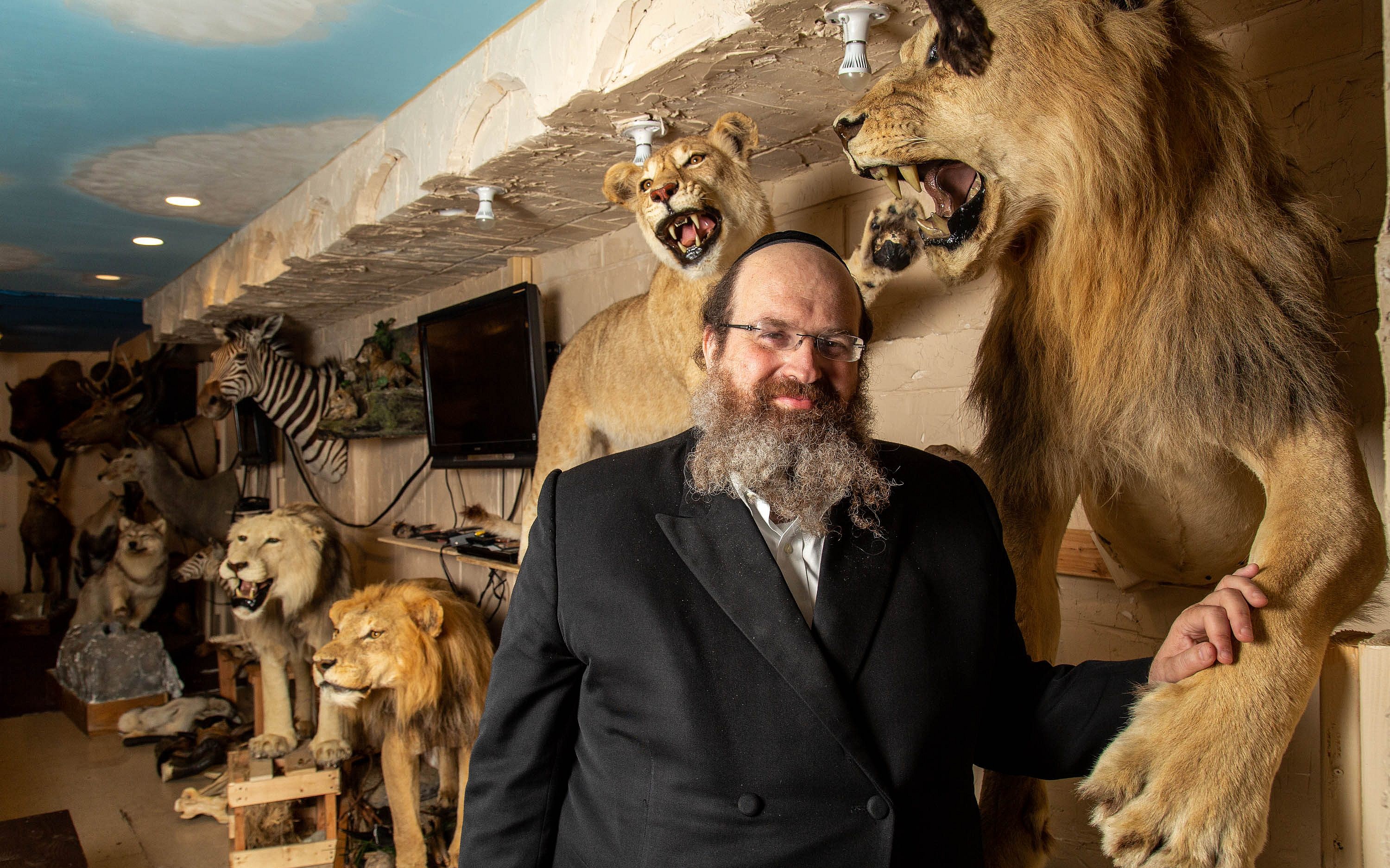 Every animal in the Torah is stuffed into this biblical taxidermy museum |  The Times of Israel