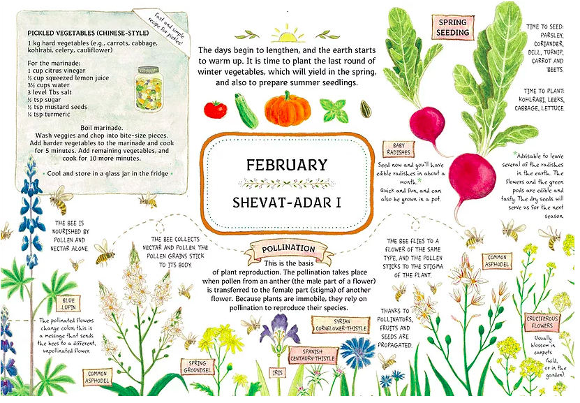 A Gregorian Calendar That Helps The Israeli Garden Grow The