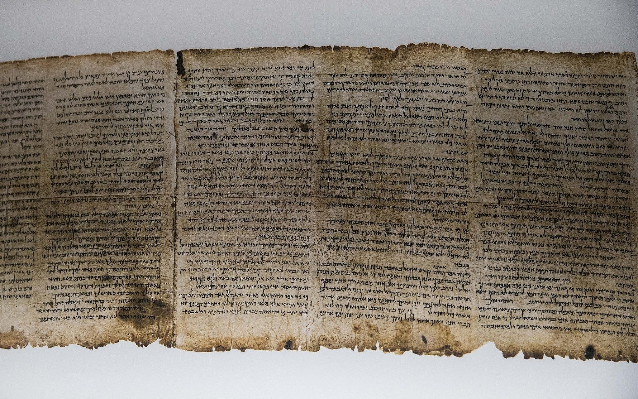 Newly Discovered Caves May Hold More Dead Sea Scrolls The Times Of Israel