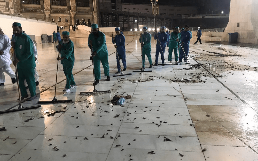 Mecca's Grand Mosque plagued by swarm of locusts The Times of Israel