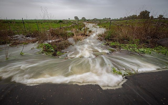 A stream overflows with water after heavy rains on the Golan Heights, January 14, 2019. (Maor Kinsbursky/Flash90)